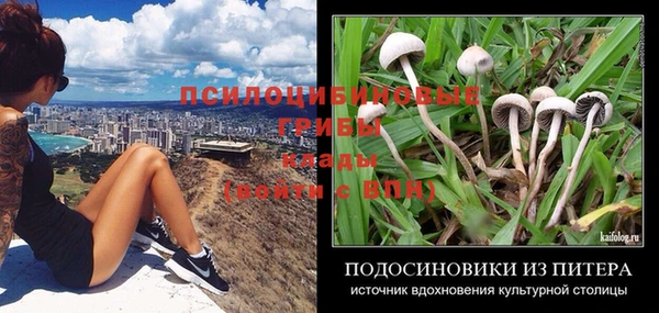 мескалин Алексин