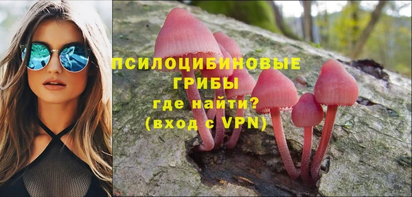 мескалин Алексин