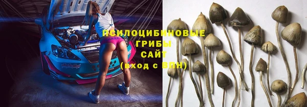 мескалин Алексин