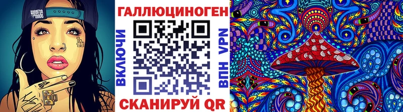 Псилоцибиновые грибы Psilocybine cubensis  Биробиджан 