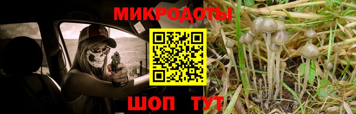 Галлюциногенные грибы мухоморы Биробиджан